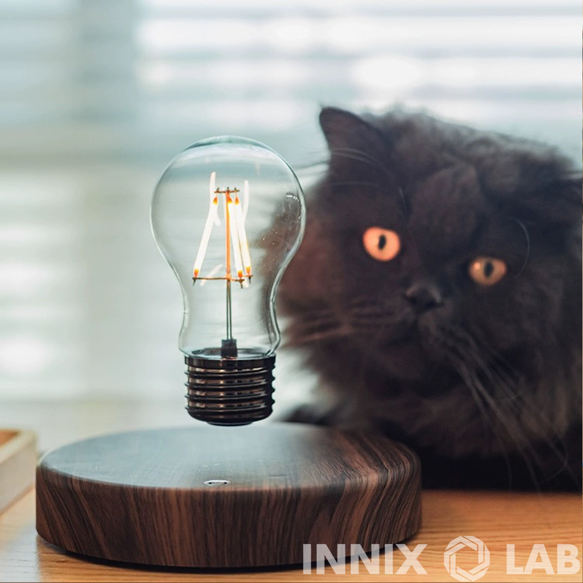 LEVITATION BULB